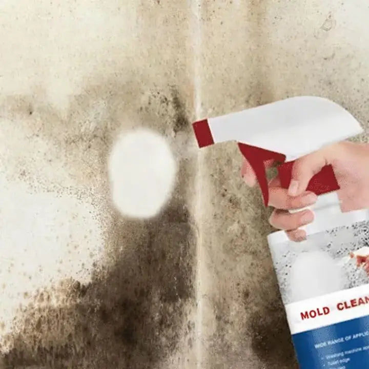 Kalsten | Mold Remover Foam Spray