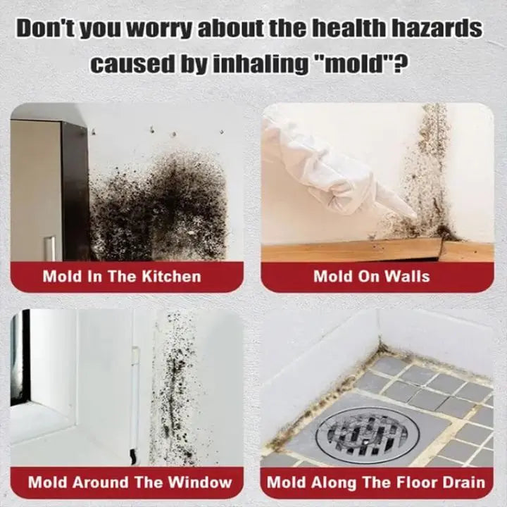 Kalsten | Mold Remover Foam Spray