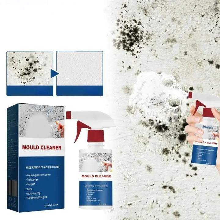 Kalsten | Mold Remover Foam Spray