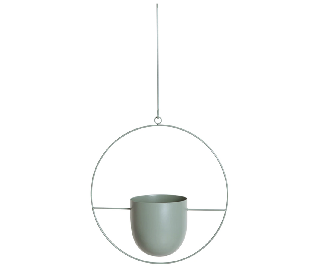 FloraFrame Elegant Metal Wall & Ceiling Plant Holder