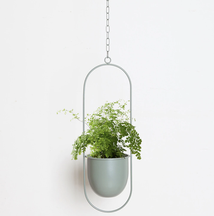 Kalsten | Wall Hanging Metal Plant Holder – FloraFrame