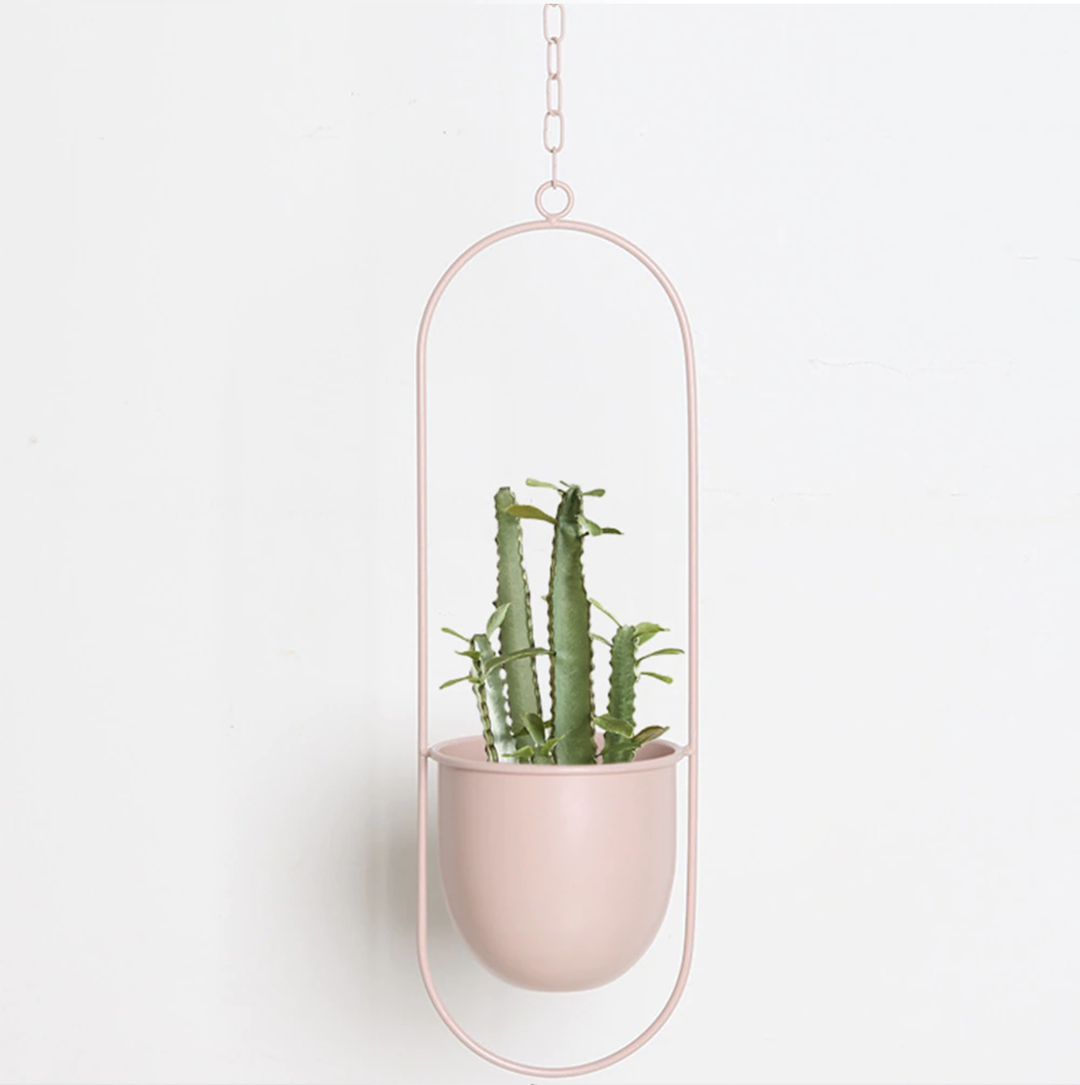 Kalsten | Wall Hanging Metal Plant Holder – FloraFrame