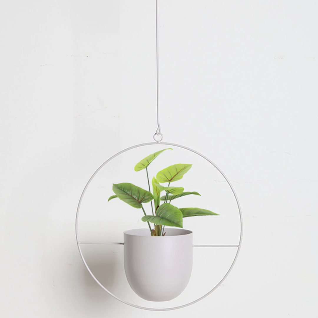 Kalsten | Wall Hanging Metal Plant Holder – FloraFrame