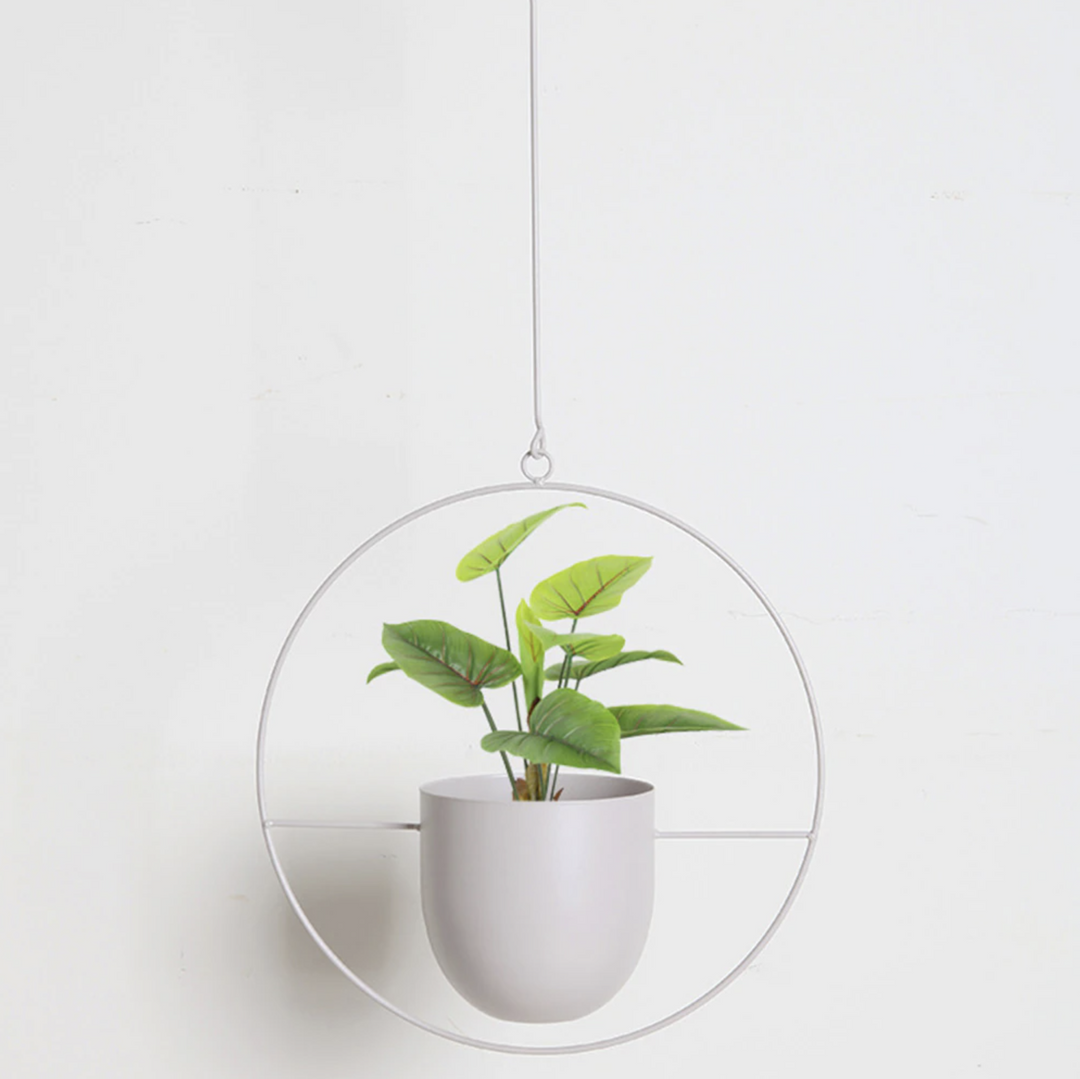 FloraFrame Elegant Metal Wall & Ceiling Plant Holder