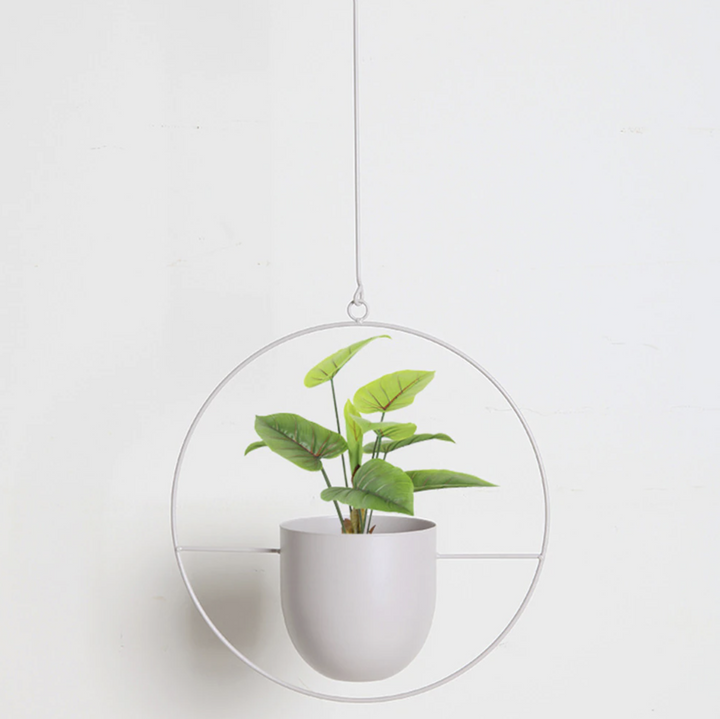 FloraFrame Elegant Metal Wall & Ceiling Plant Holder