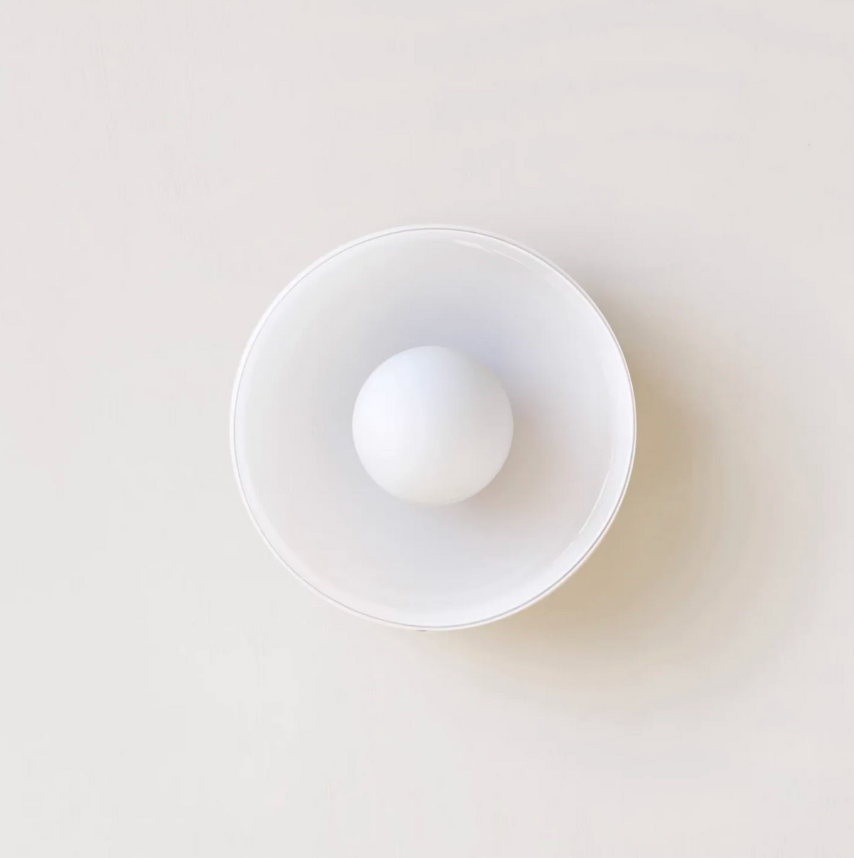 Sonnet Dual-Layered Glass Wall & Ceiling Light