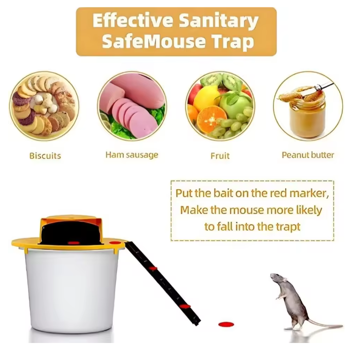 Reusable live trap for mice & rats | Kalsten