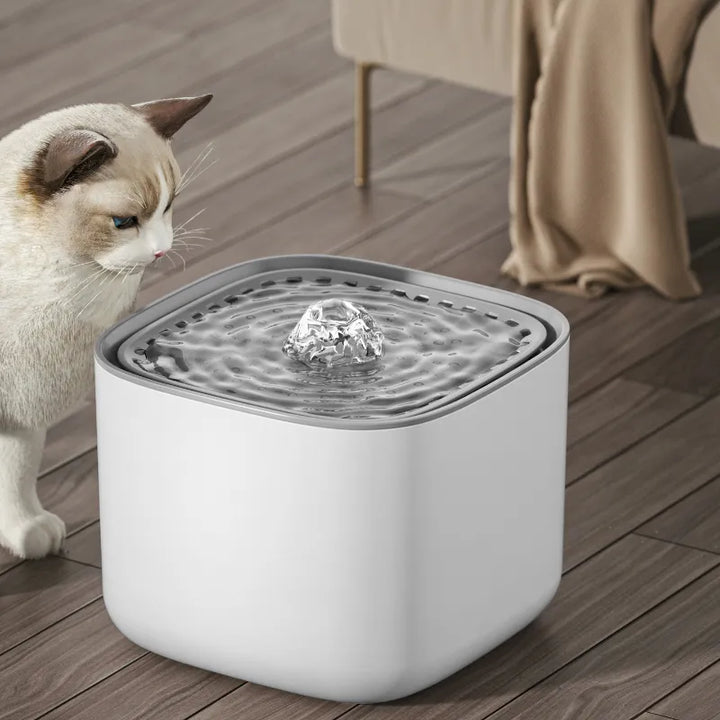Kalsten | Ultra-quiet 3L Pet Water Fountain