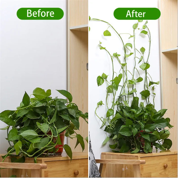 Self-Adhesive Plant Holder Mini Wall Clips | Kalsten