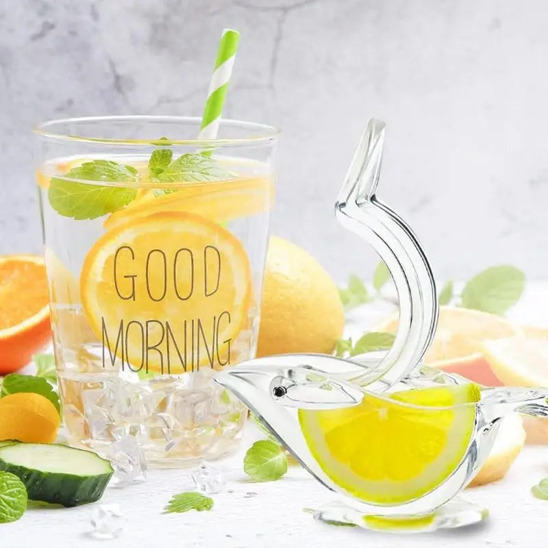 Kalsten | Acrylic Lemon Squeezer