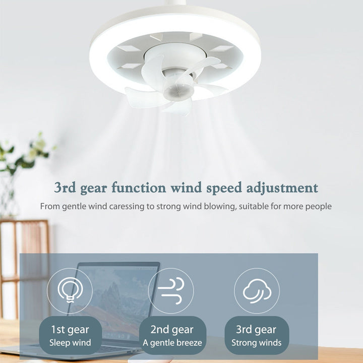Ceiling Fan Light | Kalsten