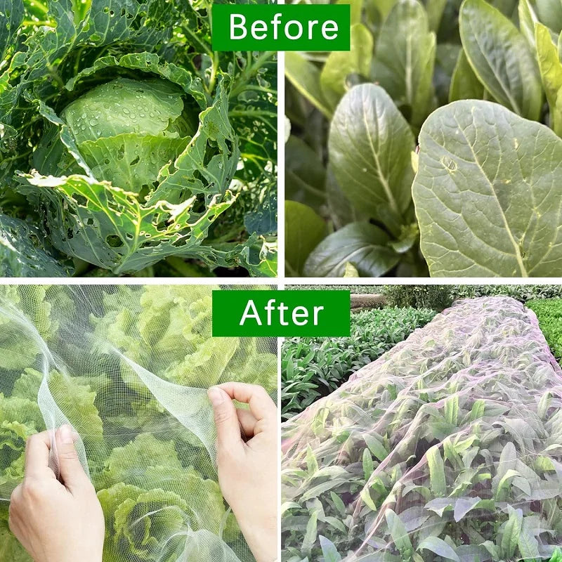 Kalsten | Naturaviso Garden Net Insect Protection | UV-resistant & Tear-resistant | Plant Protection Net against Pests & Birds