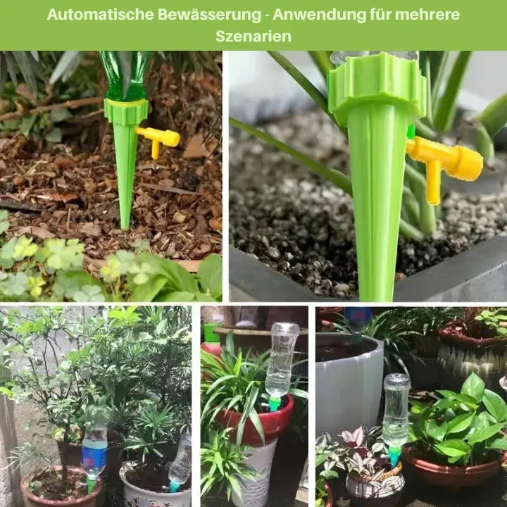 Kalsten | Self-watering Spike for Automatic Plant Care
