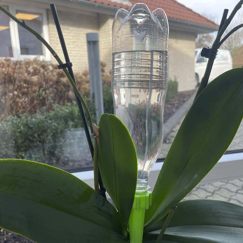 Self-watering for potted plants / beds - Pack of 6 pcs. | Kalsten