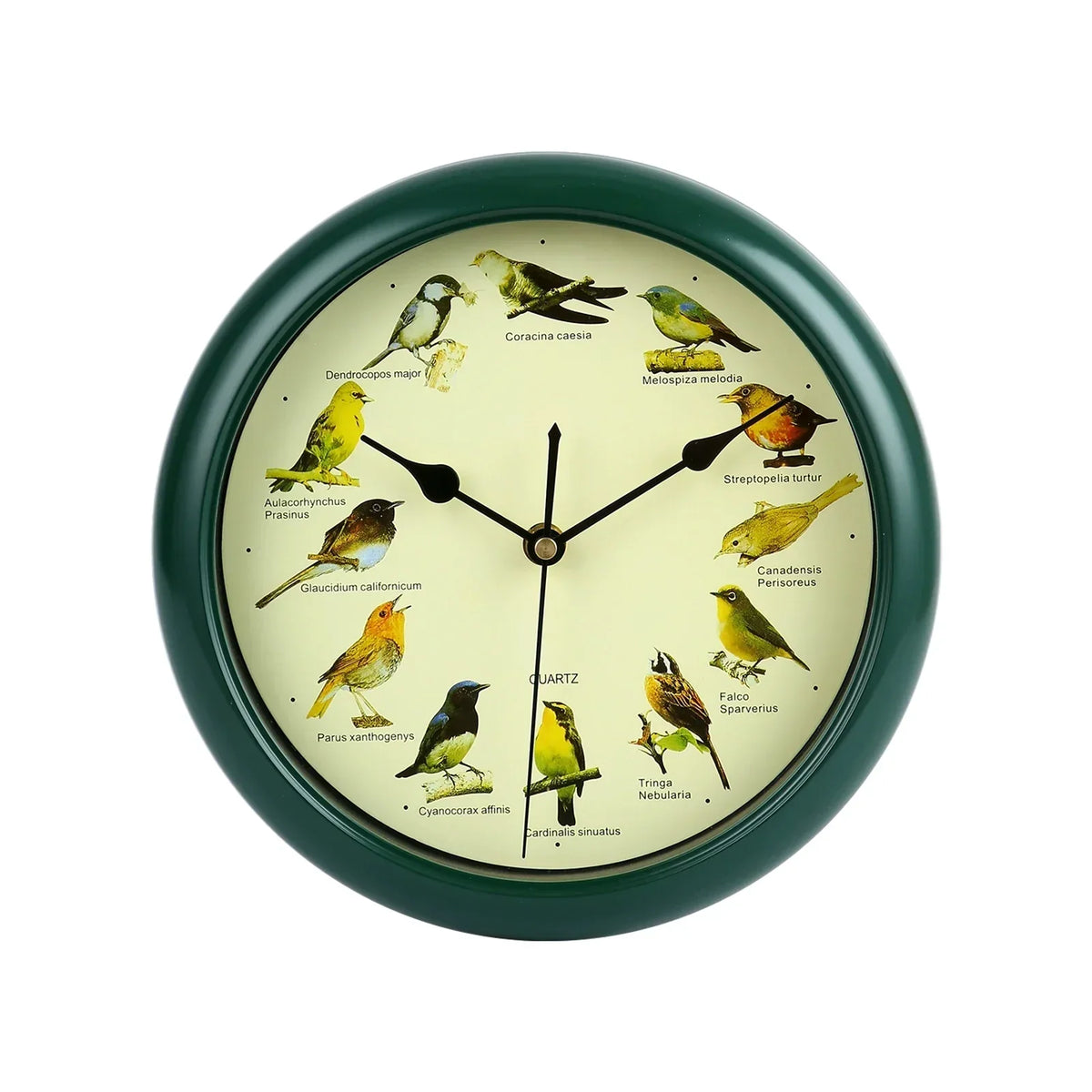 BirdSong Clock – 10 Inch Wall Clock for Stylish Interior Bowlift