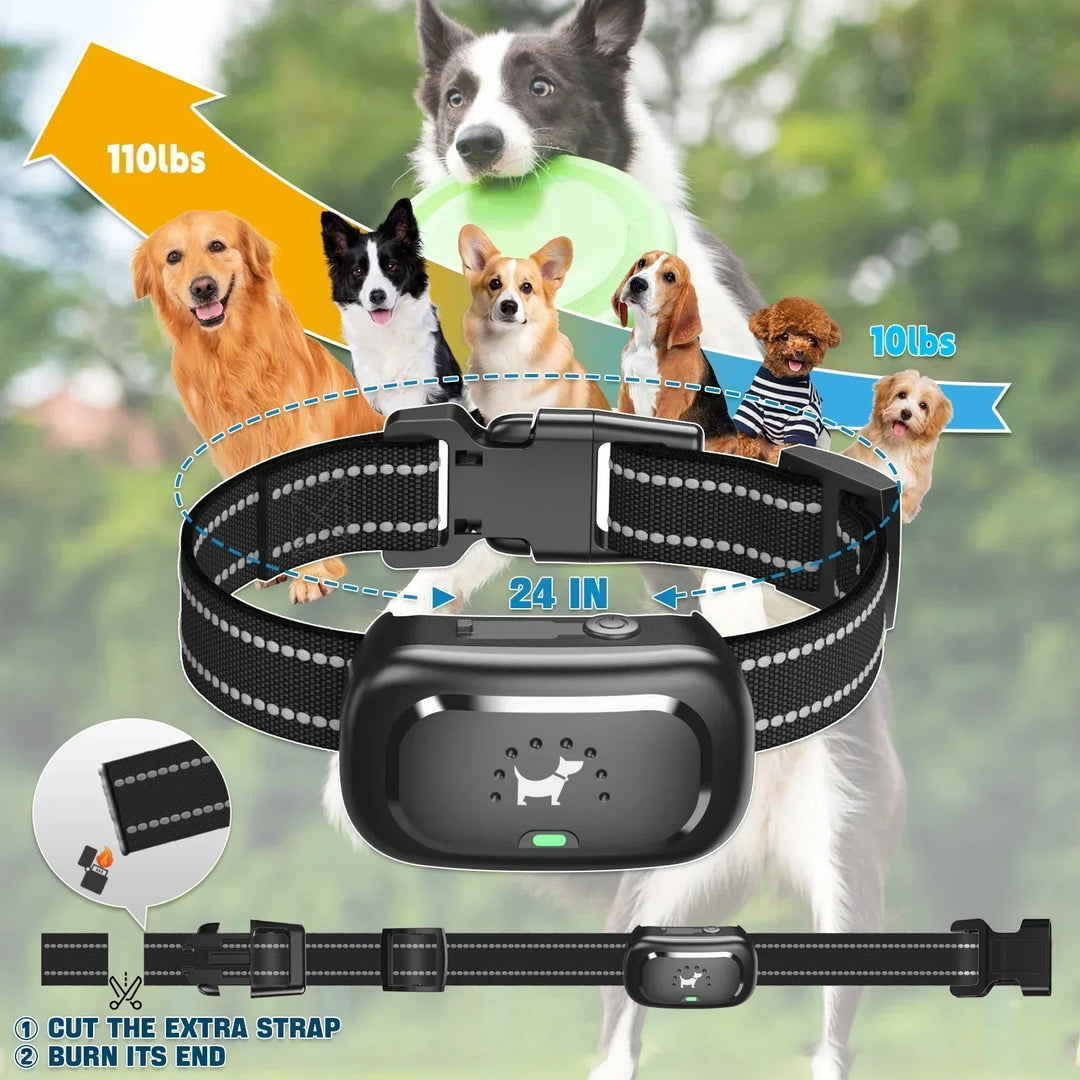 Remote Dog Training Collar – Sound & Vibration