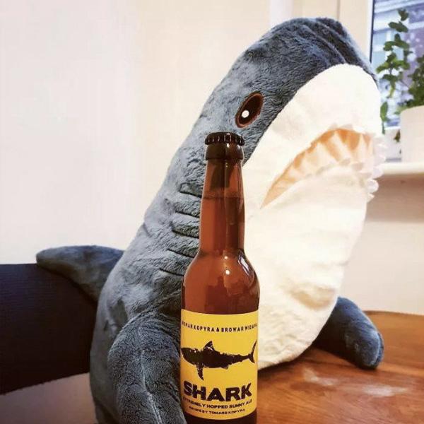 Shark Plush Toy | Kalsten