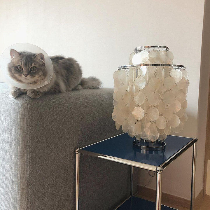 Shell Table Lamp 11.8' | Kalsten