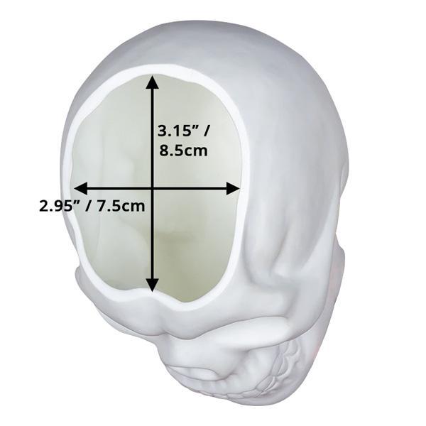 Skull Holder Plant Pot | Kalsten
