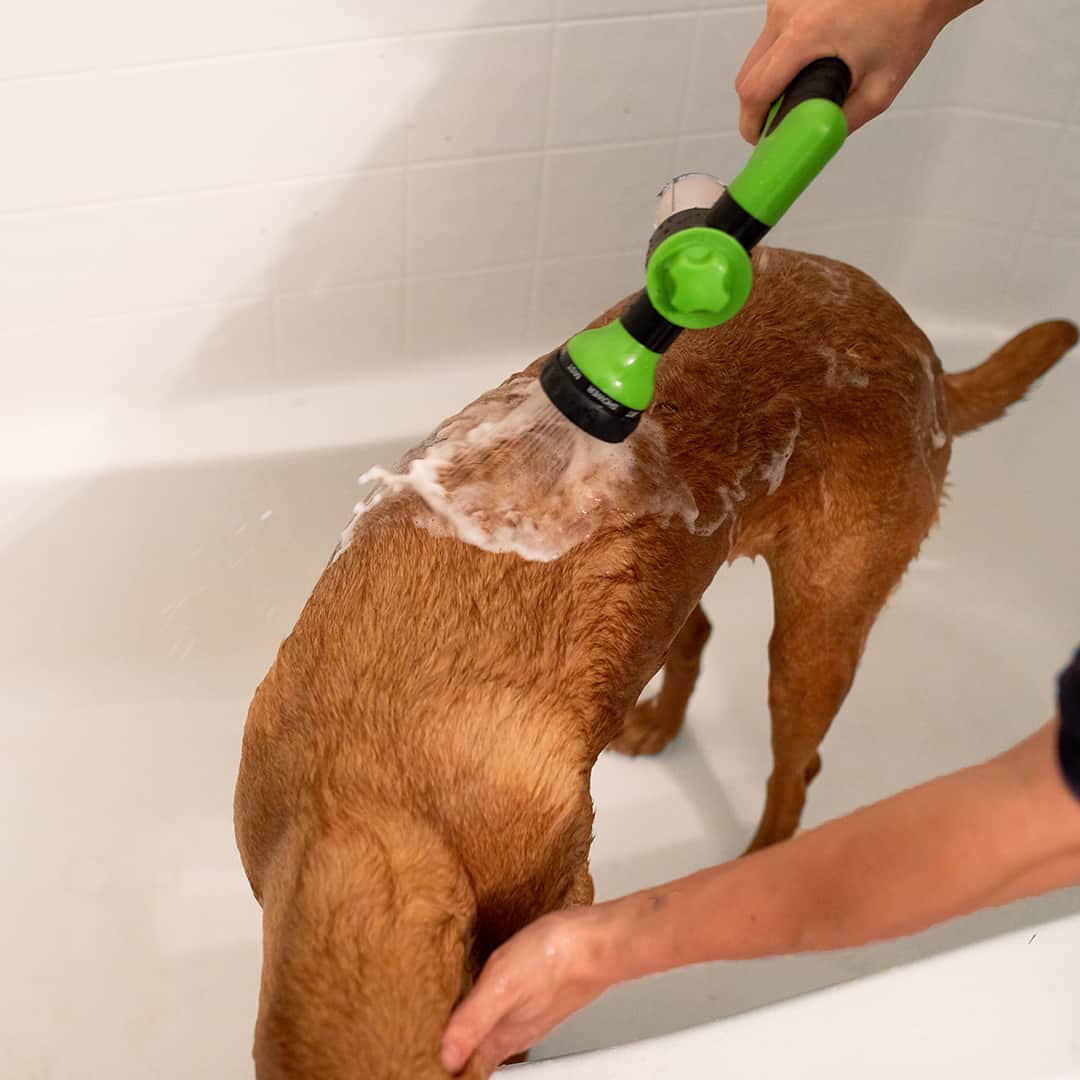 Dogjet Pro™ - Effortlessly wash your dog in record time! Kalsten