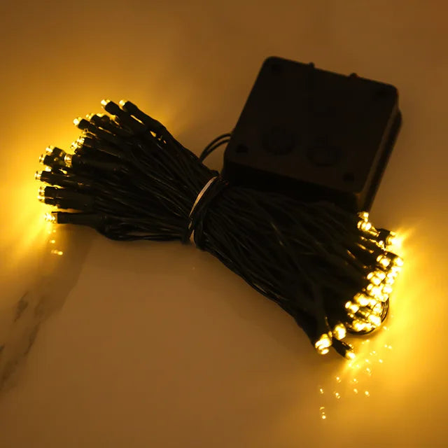 Kalsten | Peach Blossom Fairy Lights