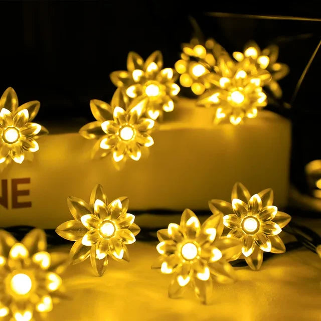 Kalsten | Peach Blossom Fairy Lights