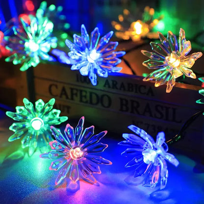 Kalsten | Peach Blossom Fairy Lights