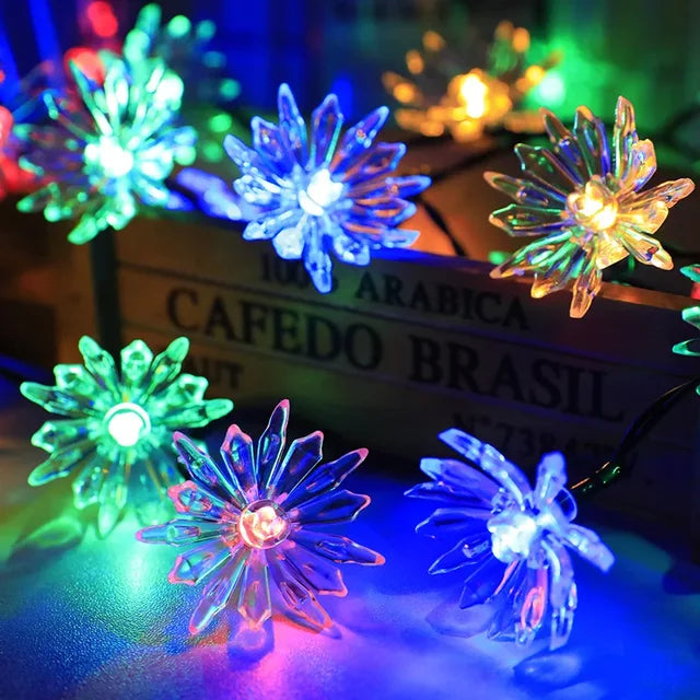 Kalsten | Peach Blossom Fairy Lights