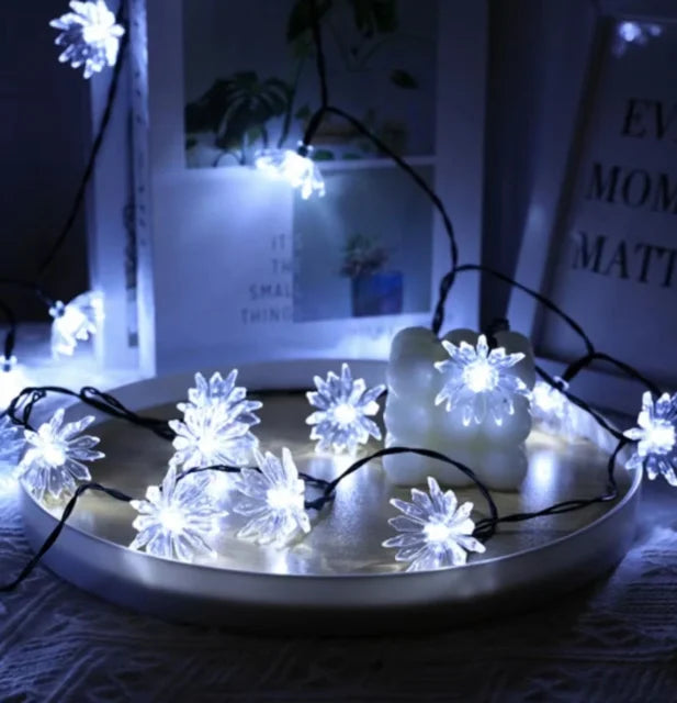 Kalsten | Peach Blossom Fairy Lights