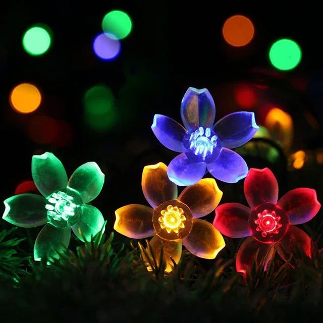 Kalsten | Peach Blossom Fairy Lights
