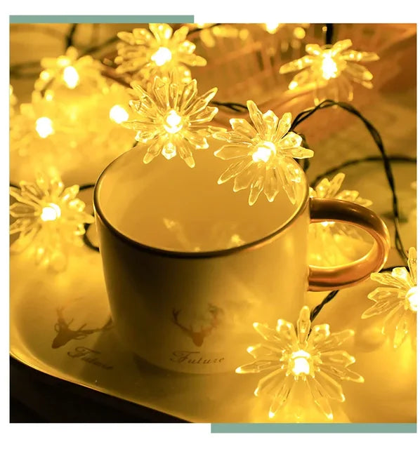 Kalsten | Peach Blossom Fairy Lights