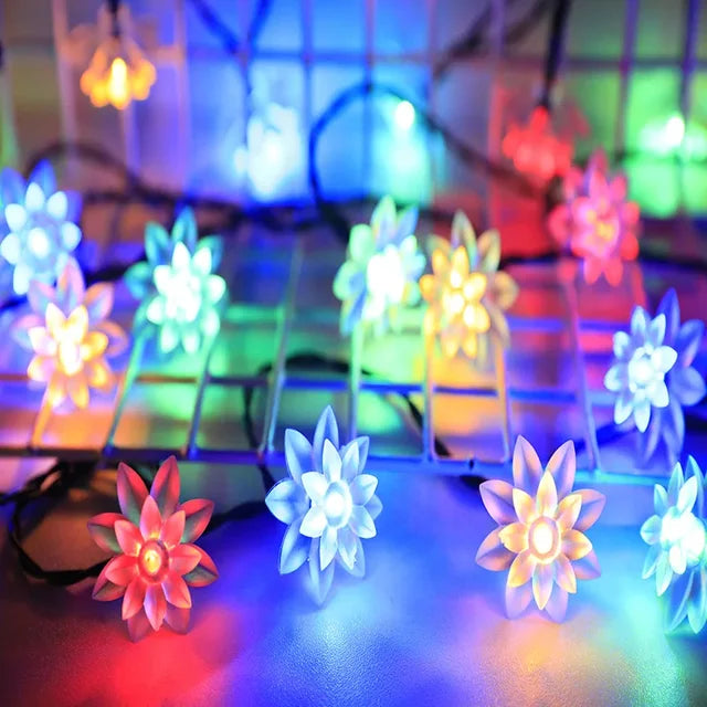 Kalsten | Peach Blossom Fairy Lights