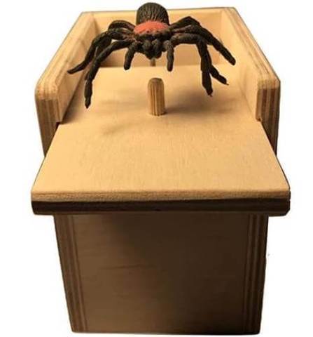 Spider Prank Box | Kalsten
