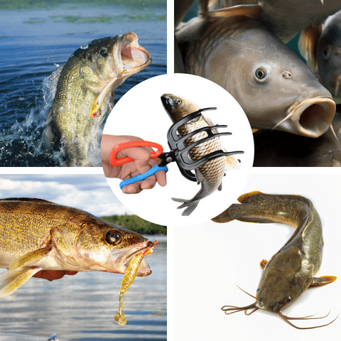 Kalsten | a Fishing Pliers Gripper Metal Fish Control