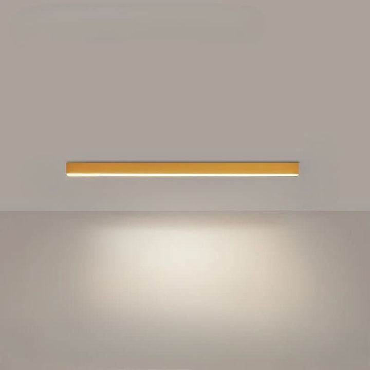 Ceiling Light Aluminum LED 24 in Modern Indoor Living Room Kitchen Hallway Illumination Fixture | Kalsten