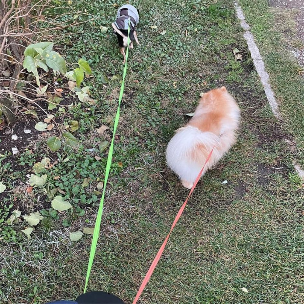 TangleFree Double Dog Leash – Tangle-Free Leash for Easy Walking with Two Dogs | Kalsten