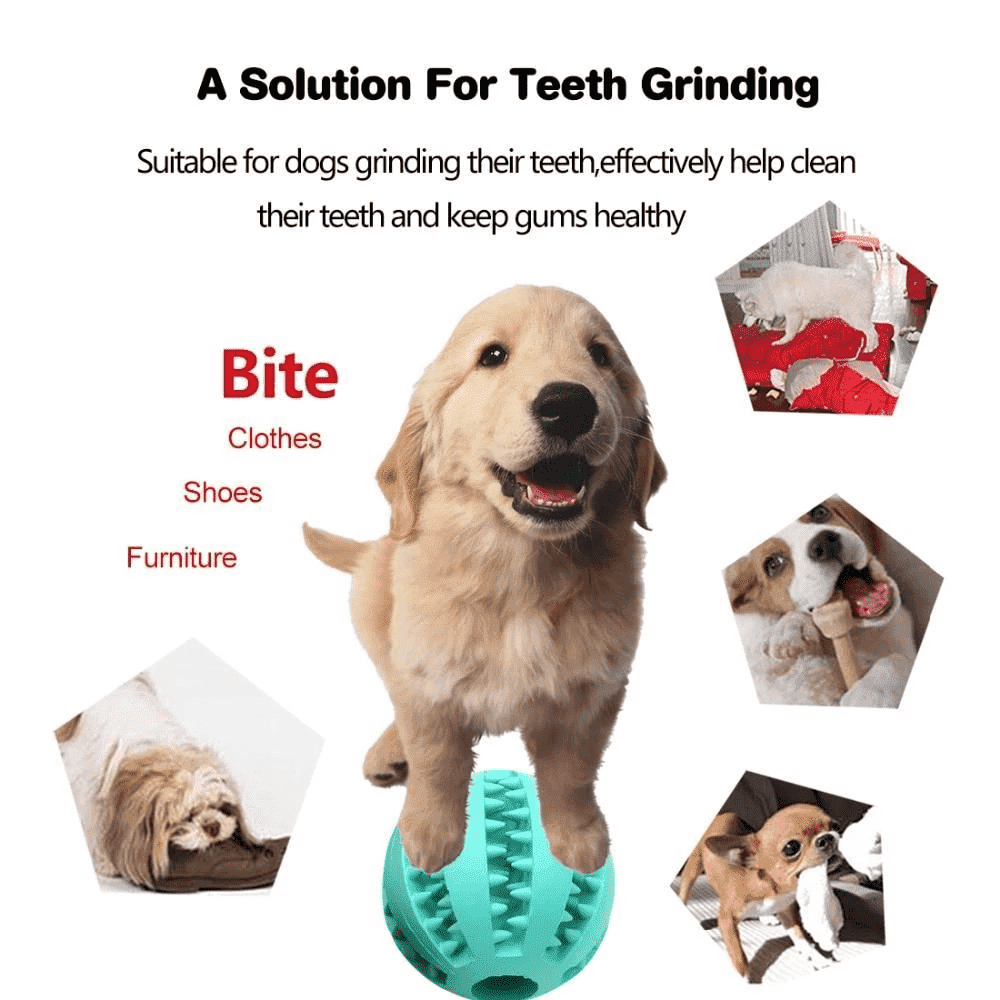 Teeth-Cleaning Dog Feeder Toy | Kalsten