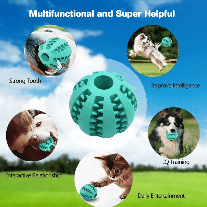 Teeth-Cleaning Dog Feeder Toy | Kalsten