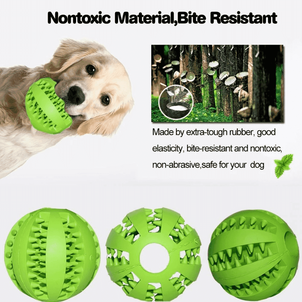 Teeth-Cleaning Dog Feeder Toy | Kalsten