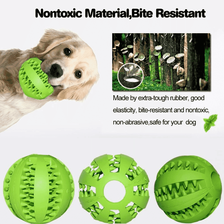 Teeth-Cleaning Dog Feeder Toy | Kalsten