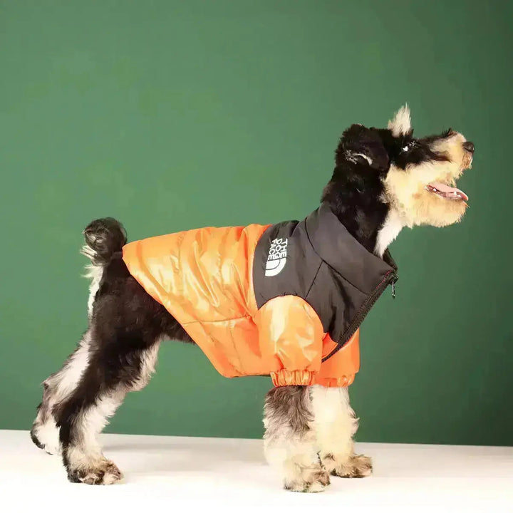 Kalsten | The Dog Face Jacket - Type A