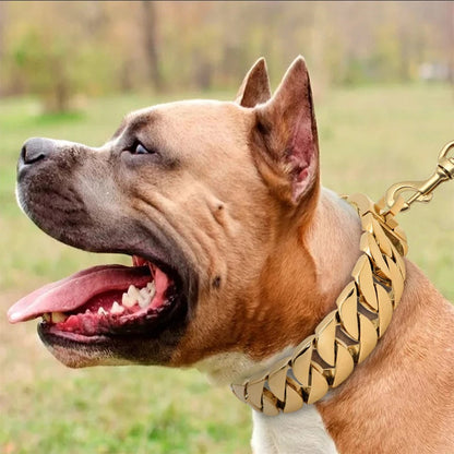 Skanto | Strength Collar Metal Dog Collar – Solid Stainless Steel Collar for Large Dogs