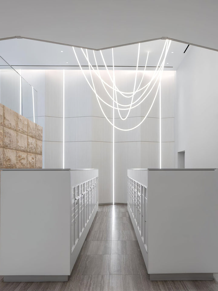 Flexible Curve Hanging light Pendant Lamp | Kalsten