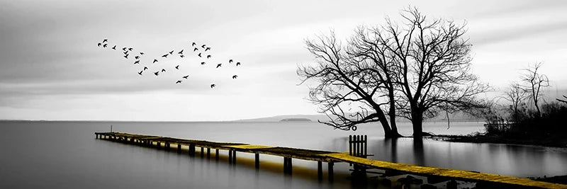 Quiet Lake Pier Panoramic Landscape Wall Art Fine Canvas Prints Black and White Serene Images for Above the Sofa or Bed