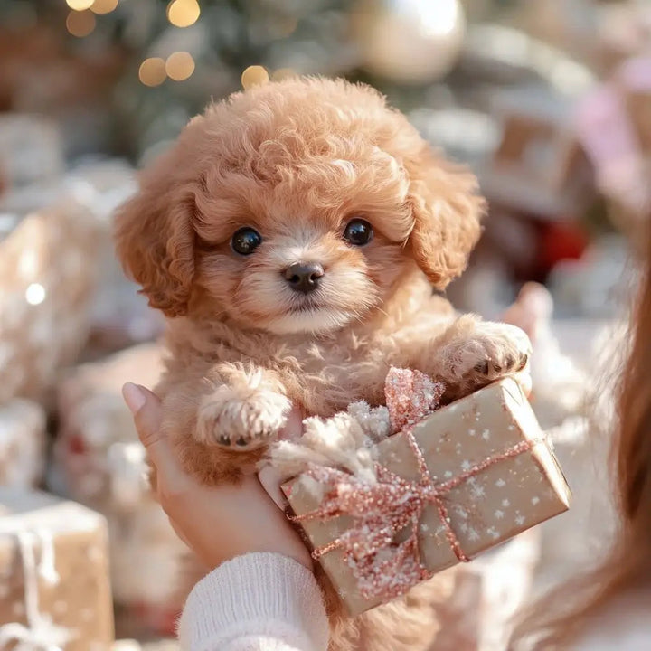 Kalsten | PuppyJoy Realistic Dog | Brings comfort and joy to your home