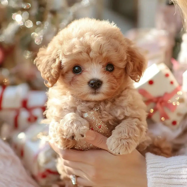 Kalsten | PuppyJoy Realistic Dog | Brings comfort and joy to your home