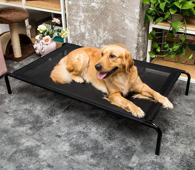 Duke - Breathable Mesh Raised Bed | Kalsten