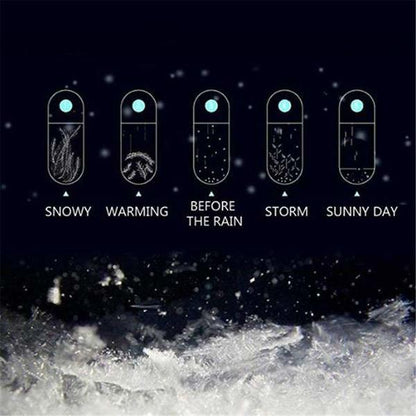 Kalsten | Storm Glass Weather Predicting Forecast Bottle Crystal Desktop Barometer with Wooden Base