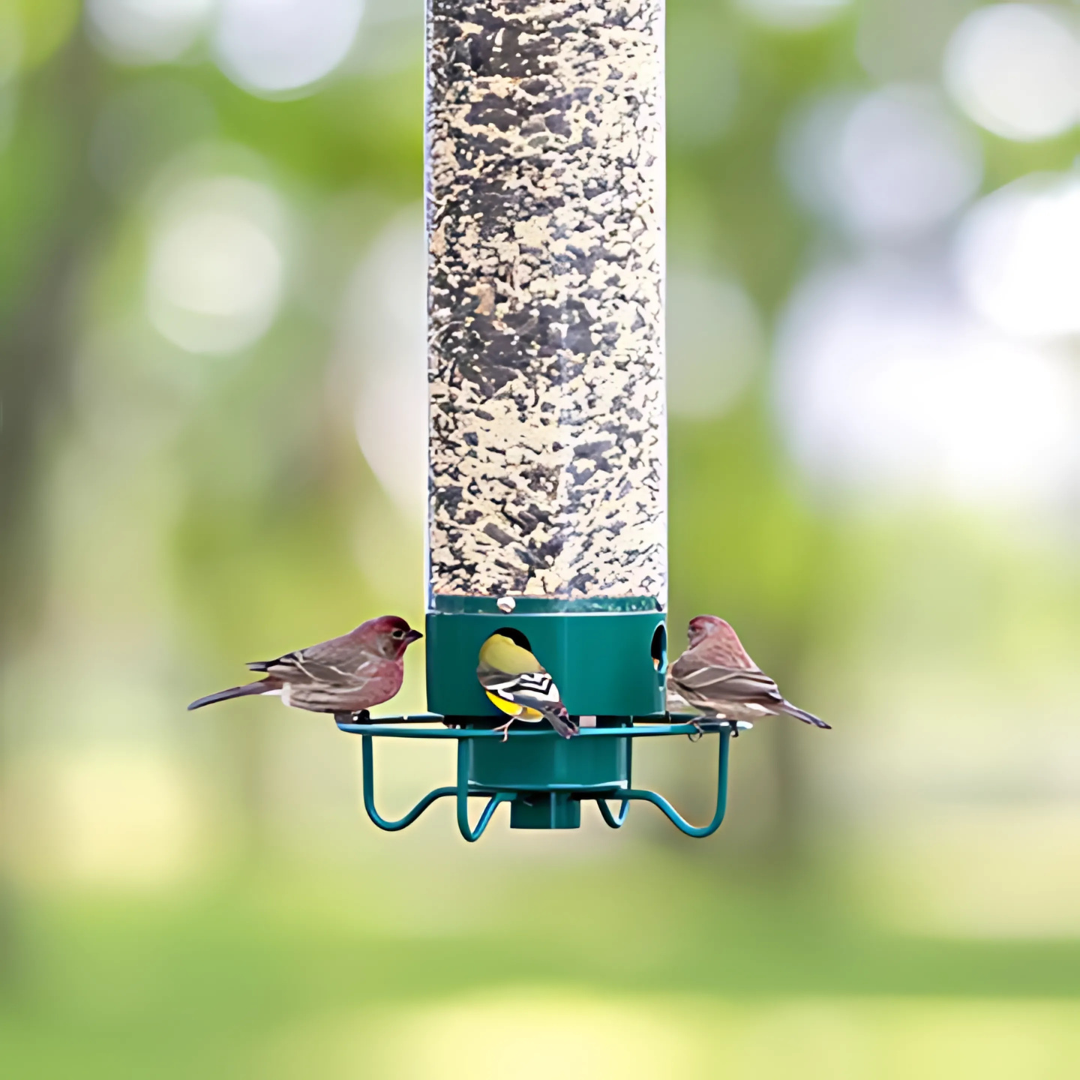 Kalsten | Metal Hanging Squirrel-Proof Bird Feeder for Gardens