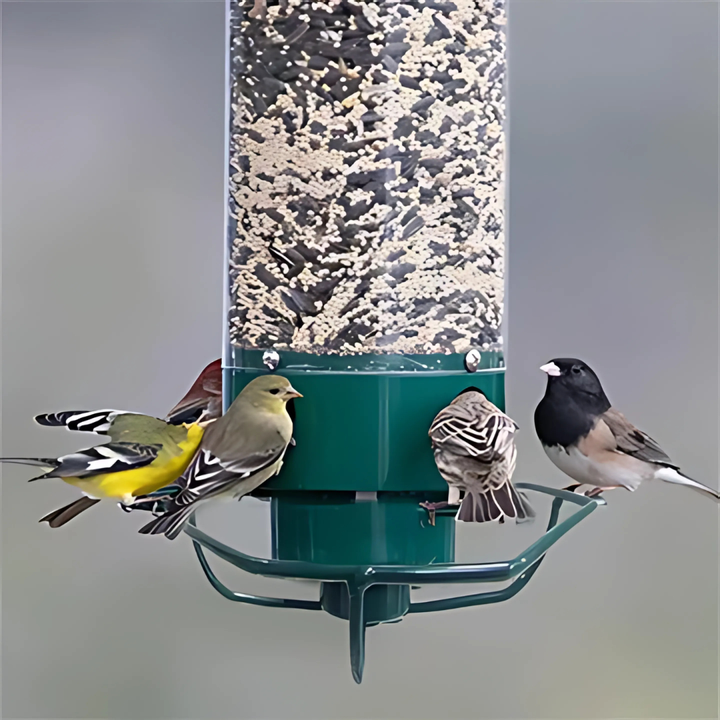 Kalsten | Metal Hanging Squirrel-Proof Bird Feeder for Gardens